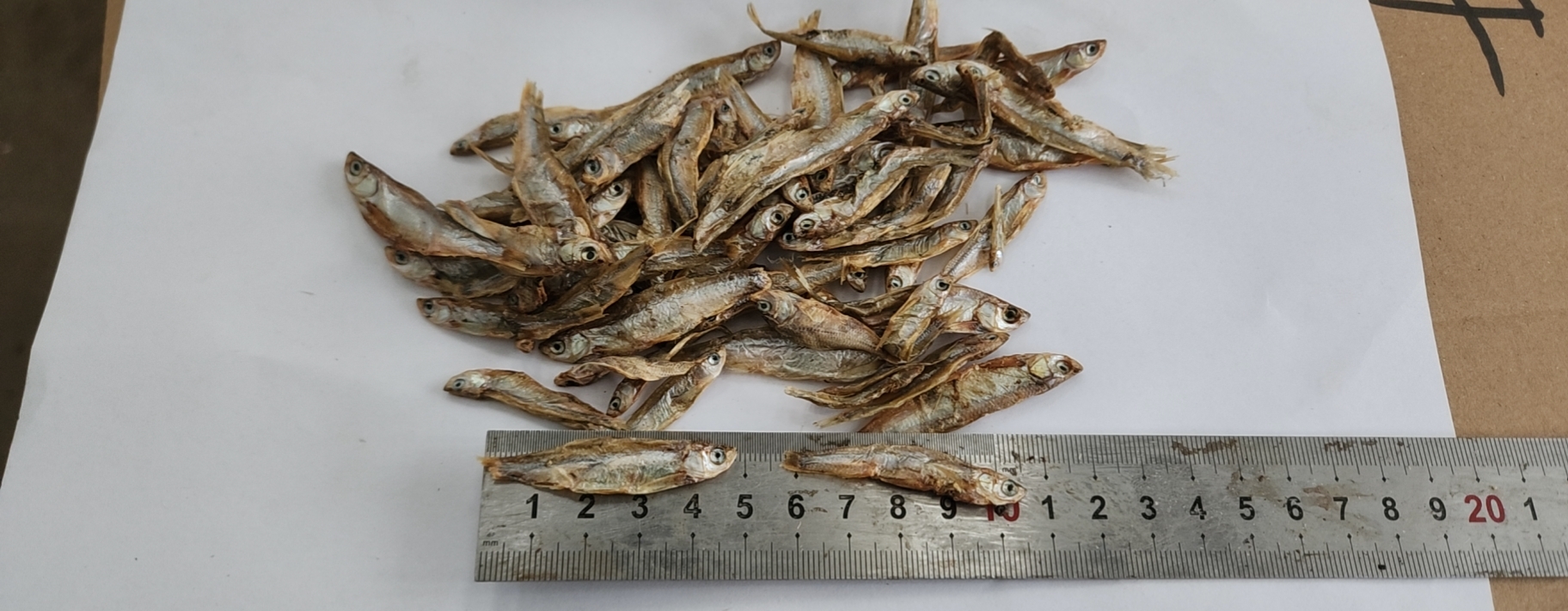 Sun dried fish 3-5cm
