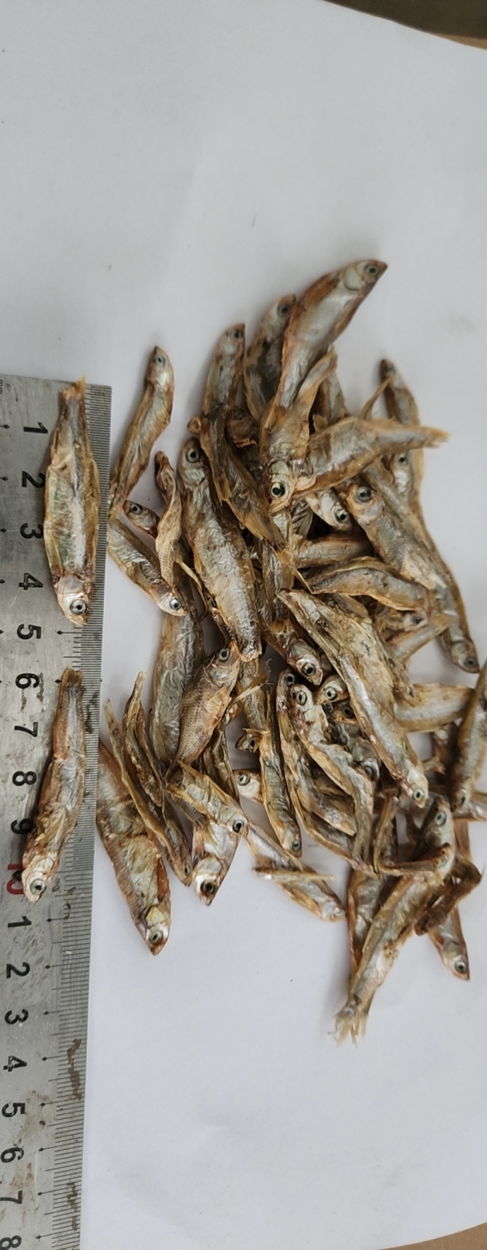 Sun dried fish 4-7cm