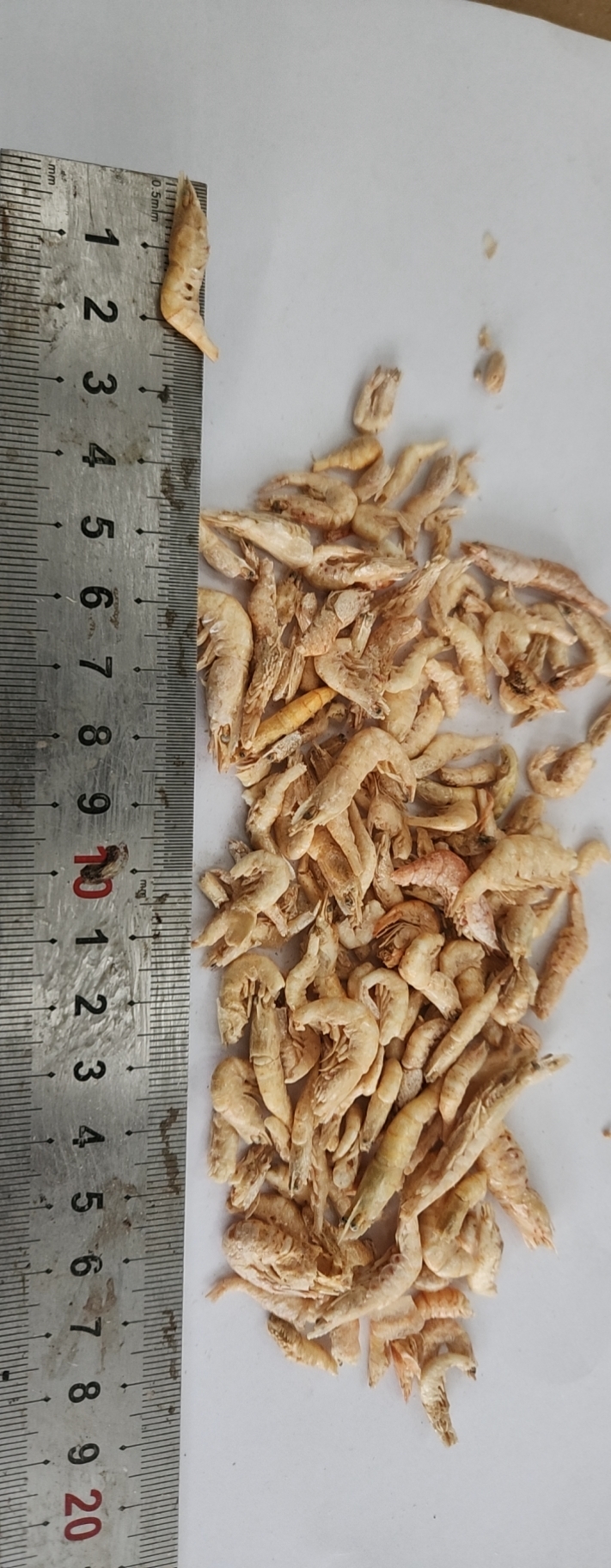 Freeze dried shrimps1-2cm