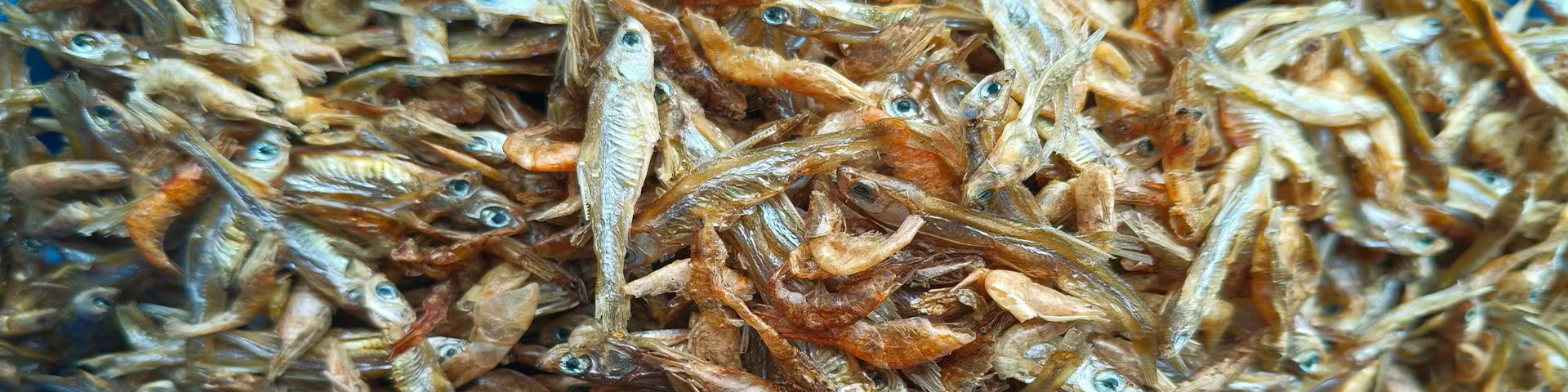 dried fish 