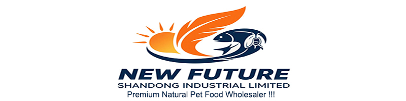 Shandong New Future Industrial Limited
