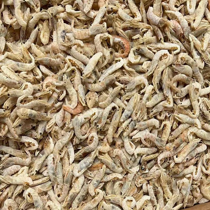 SD river shrimps2-4cm