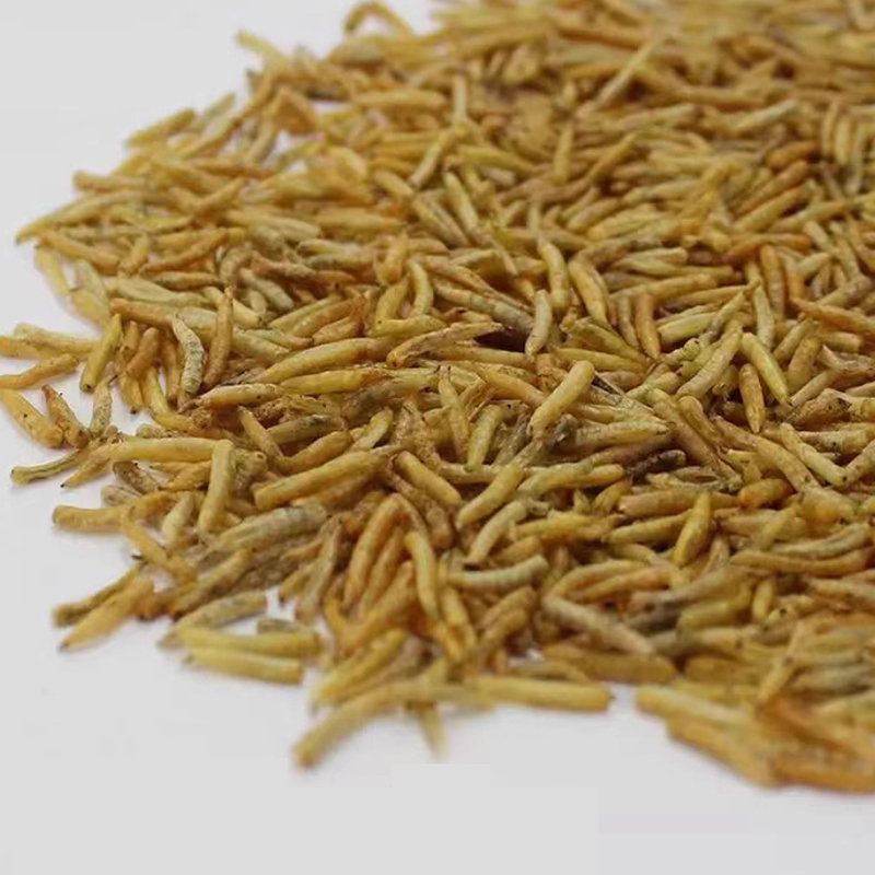 Microwave-Dried Maggots