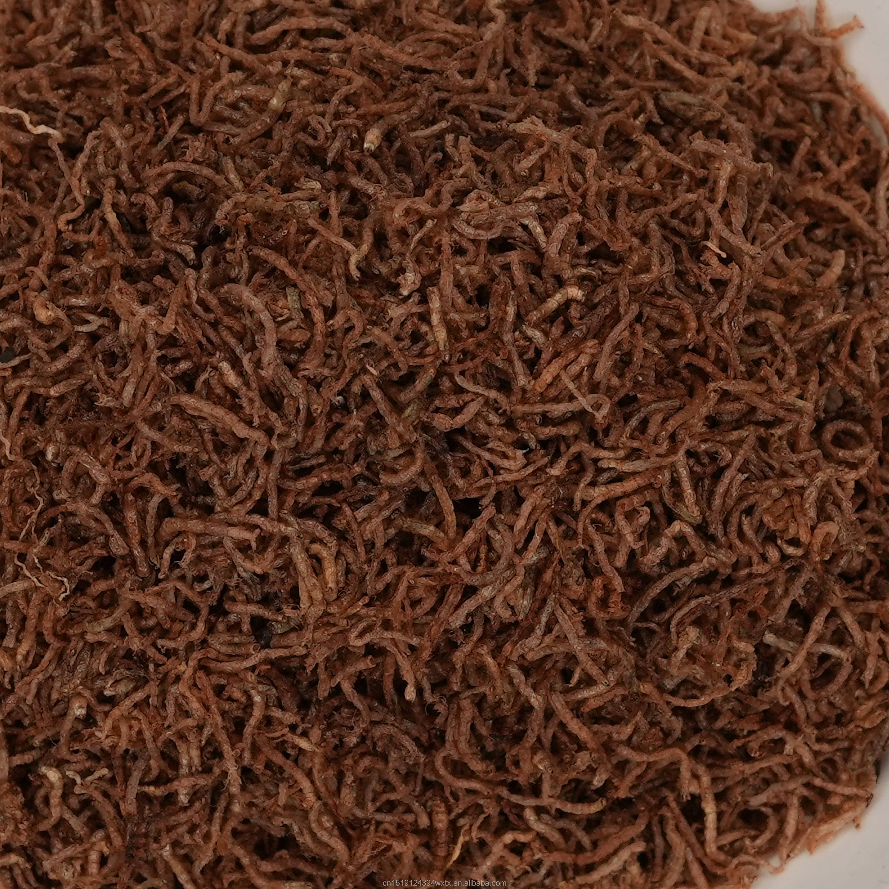 Freeze-Dried Baby Bloodworm
