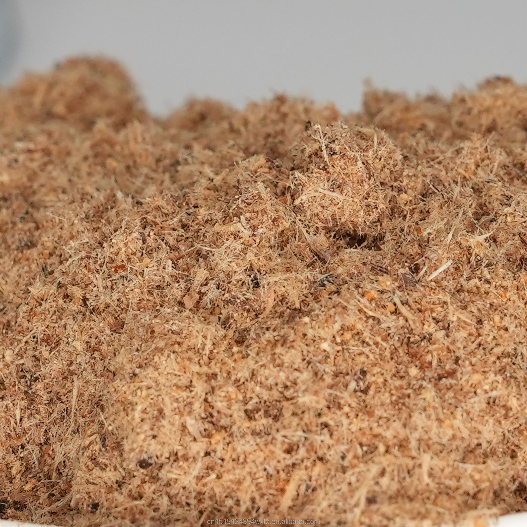 Freeze-Dried Cricket Powder
