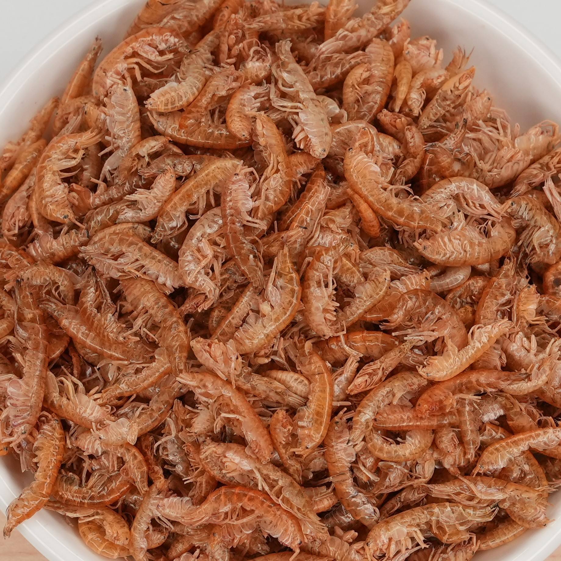 Sun Dried Gammarus