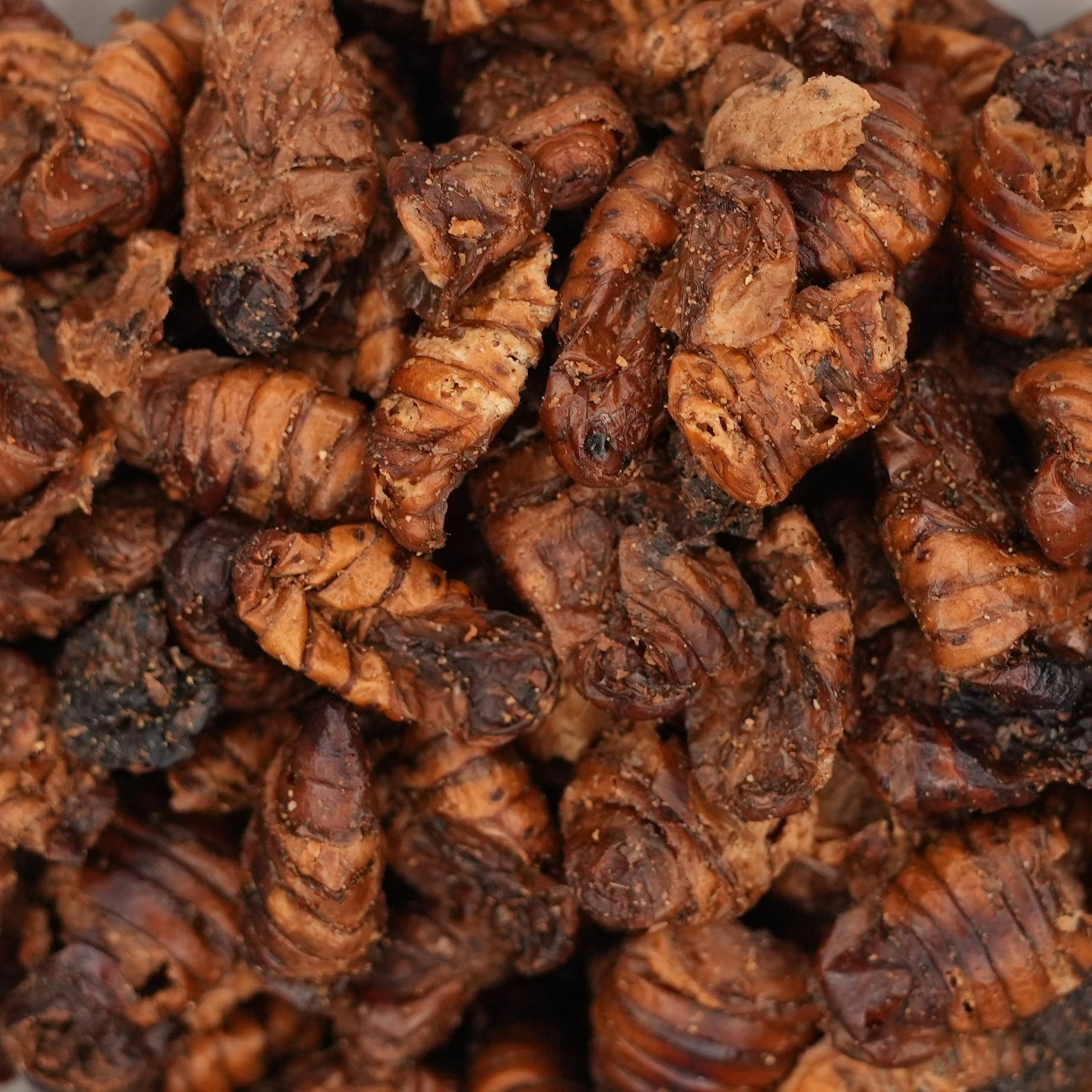 Microwave-Dried Silkworm Pupa